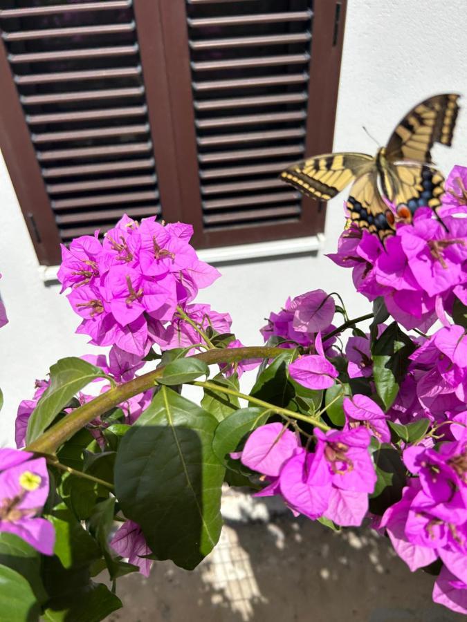 Garden Apartment Dina Split Buitenkant foto